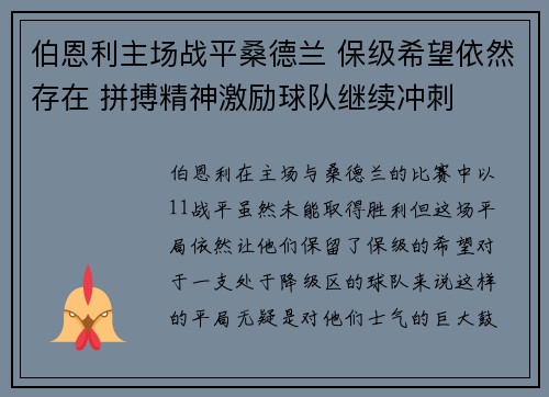 伯恩利主场战平桑德兰 保级希望依然存在 拼搏精神激励球队继续冲刺